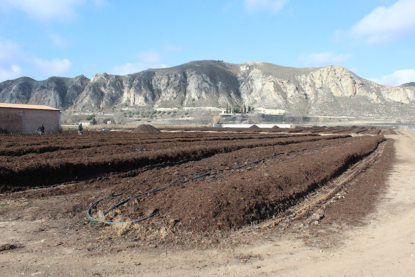 Venta de vermicompost a granel a precio de mayorista